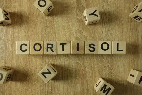 The Hidden Connection: How Stress Shapes Your Fitness and Body Composition 2 Image saying "Cortisol" and how stress West Sussex impacts your wellbeing and bodies shape